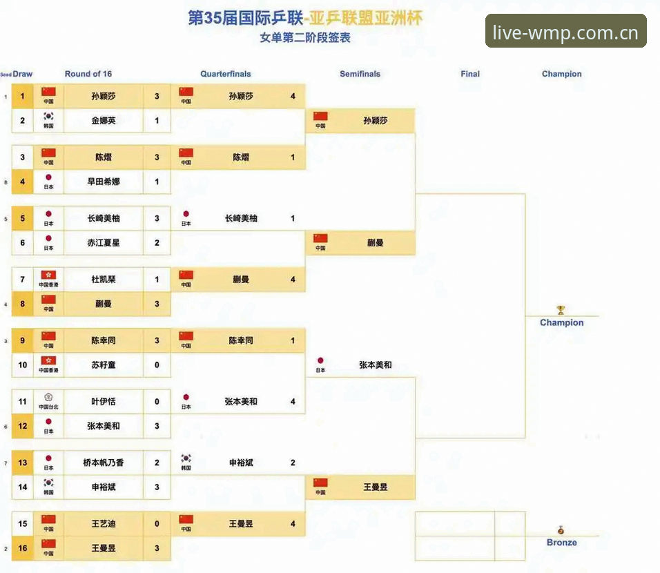 完美体育体育入口安装失败 世界杯观赛困局深度分析:地缘政治与签证壁垒如何搅动全球球迷热情